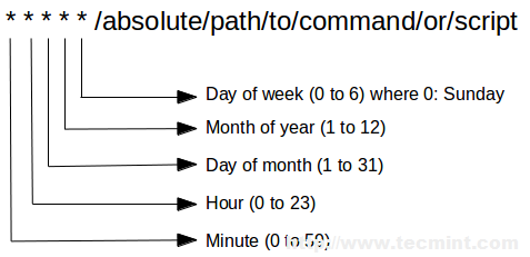 Crontab Entries