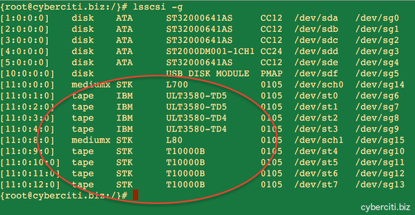 Fig.03: Installed tape devices on Linux server