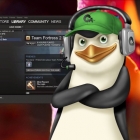 2017 年 30 款最好的支持 Linux 的 Steam 游戏