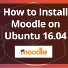 怎样在 Ubuntu 下安装 Moodle（魔灯）