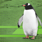 Linux 如何成为我的工作